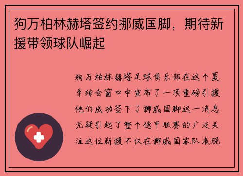 狗万柏林赫塔签约挪威国脚，期待新援带领球队崛起