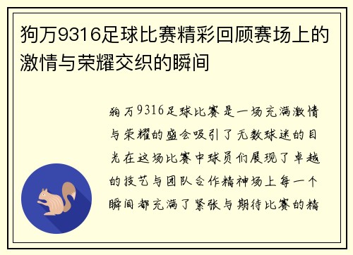 狗万9316足球比赛精彩回顾赛场上的激情与荣耀交织的瞬间