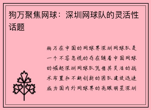 狗万聚焦网球：深圳网球队的灵活性话题
