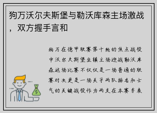 狗万沃尔夫斯堡与勒沃库森主场激战，双方握手言和