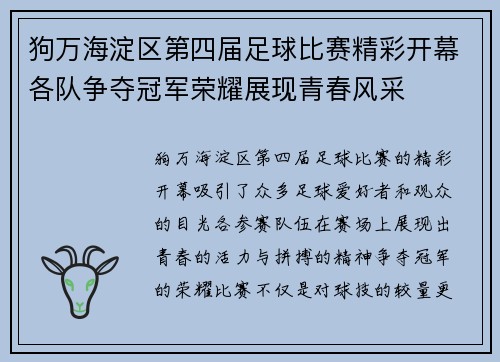 狗万海淀区第四届足球比赛精彩开幕各队争夺冠军荣耀展现青春风采