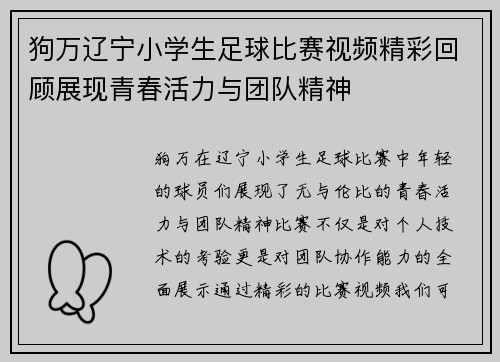 狗万辽宁小学生足球比赛视频精彩回顾展现青春活力与团队精神
